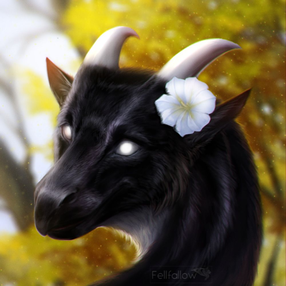 Zulikath