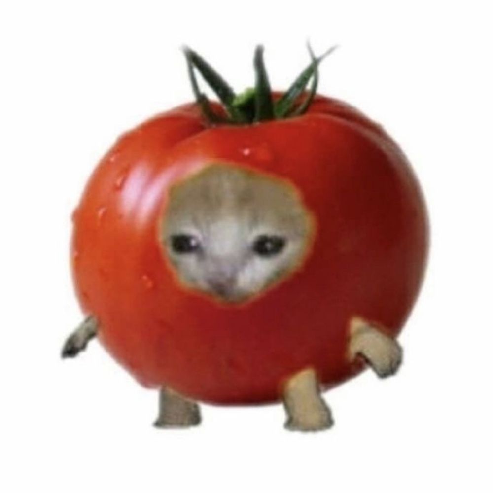ไดโนสีกัดเหา