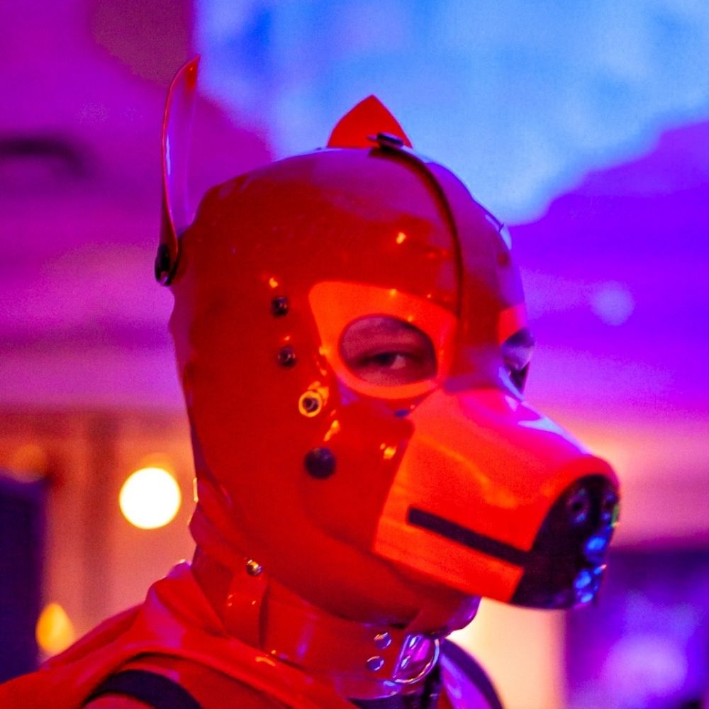 ToraPup
