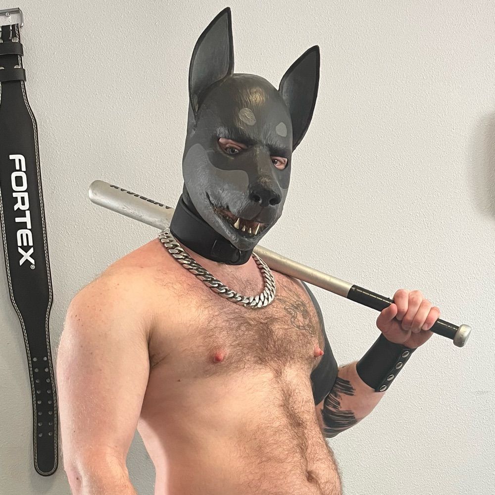 Alpha_Rex01