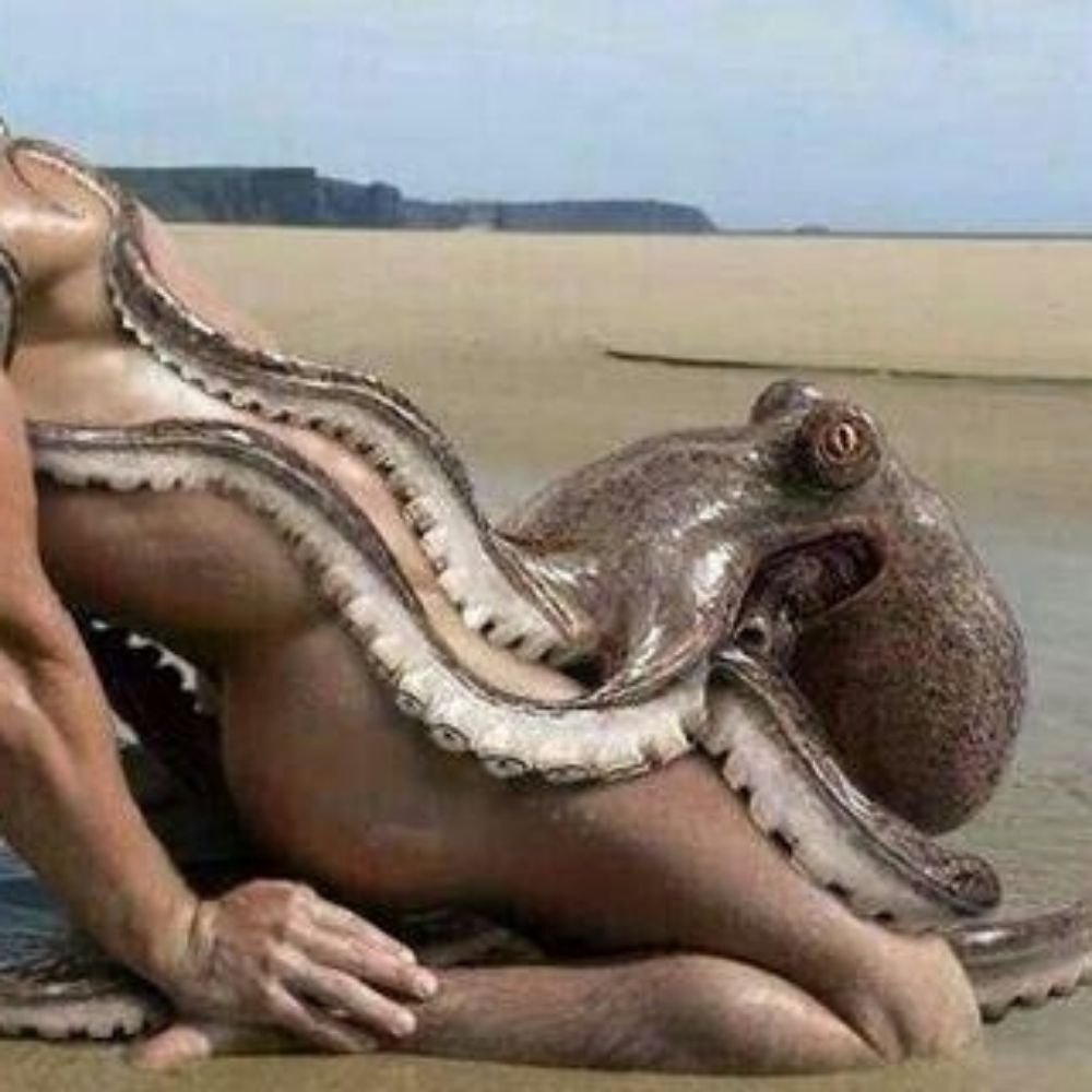 渚のハイカラ水蛸