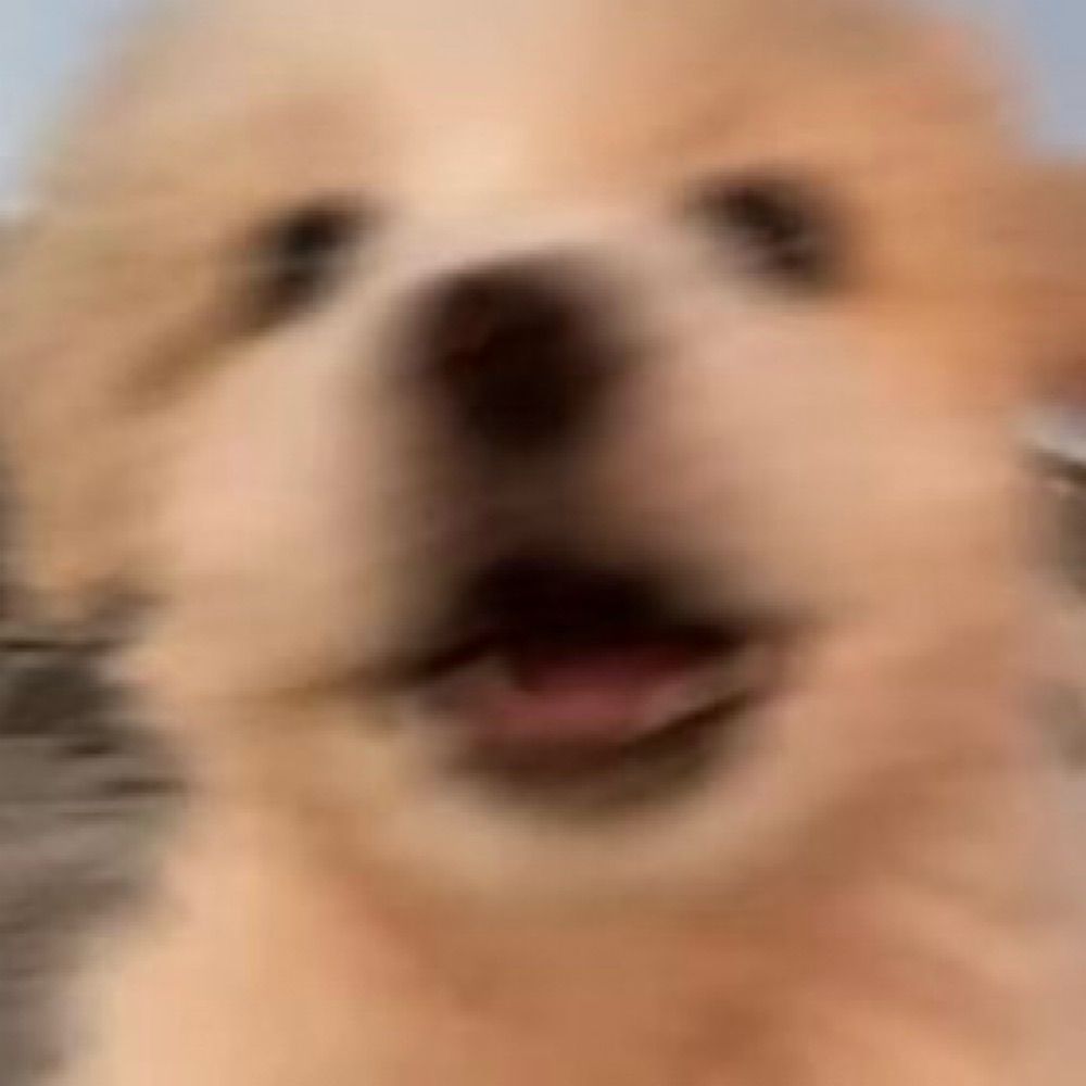 결