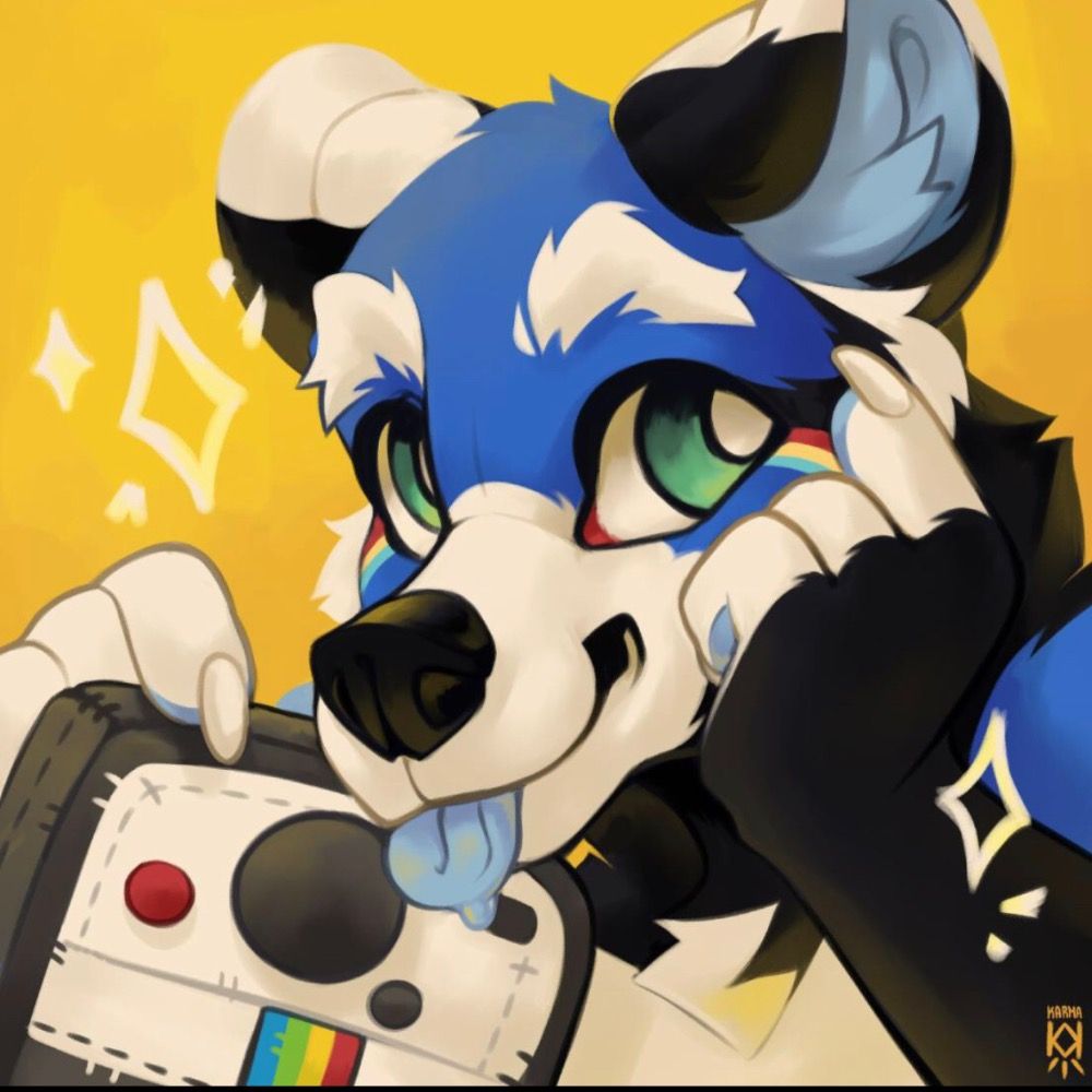 💙🏳️‍⚧️POLAROID🏳️‍⚧️💙
