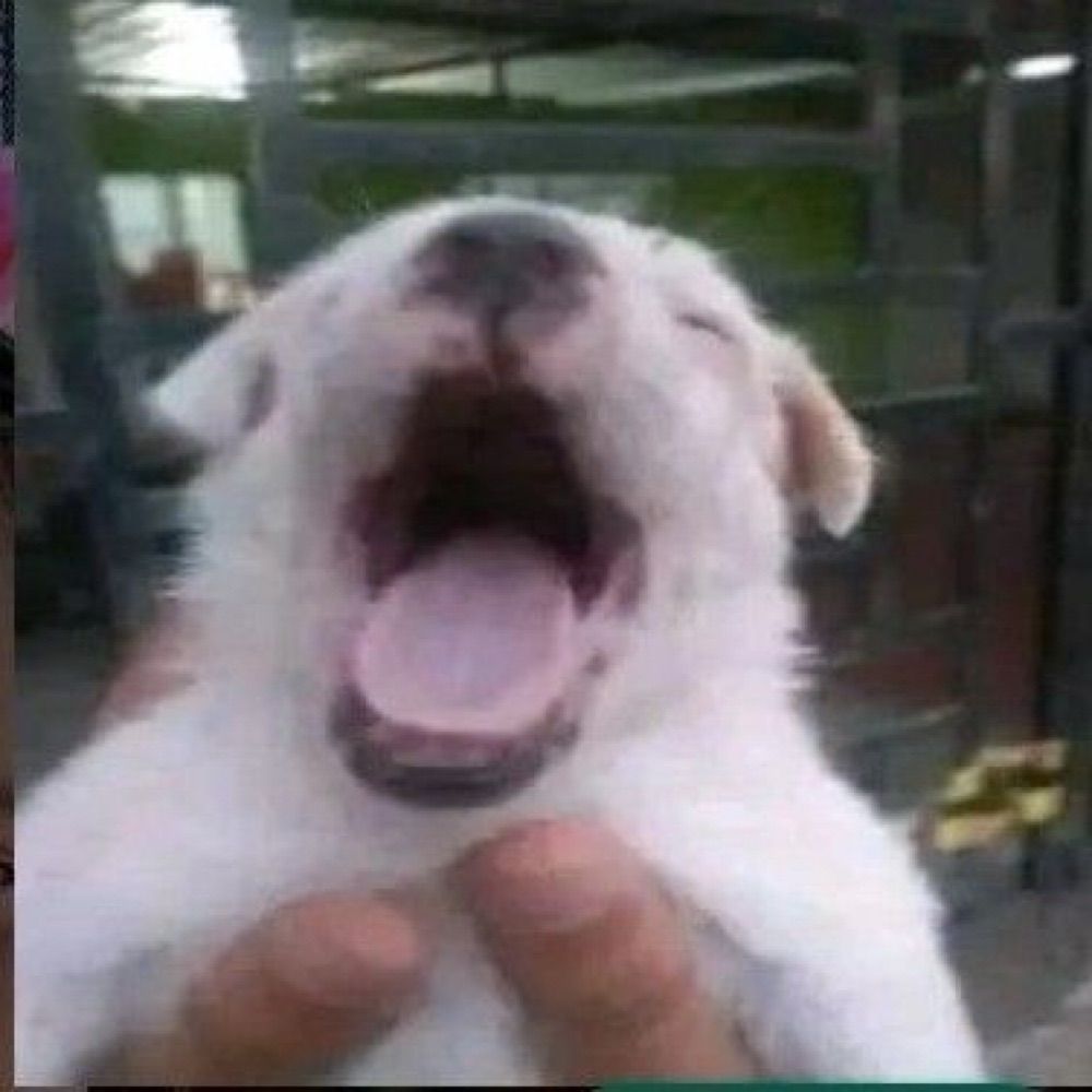zu