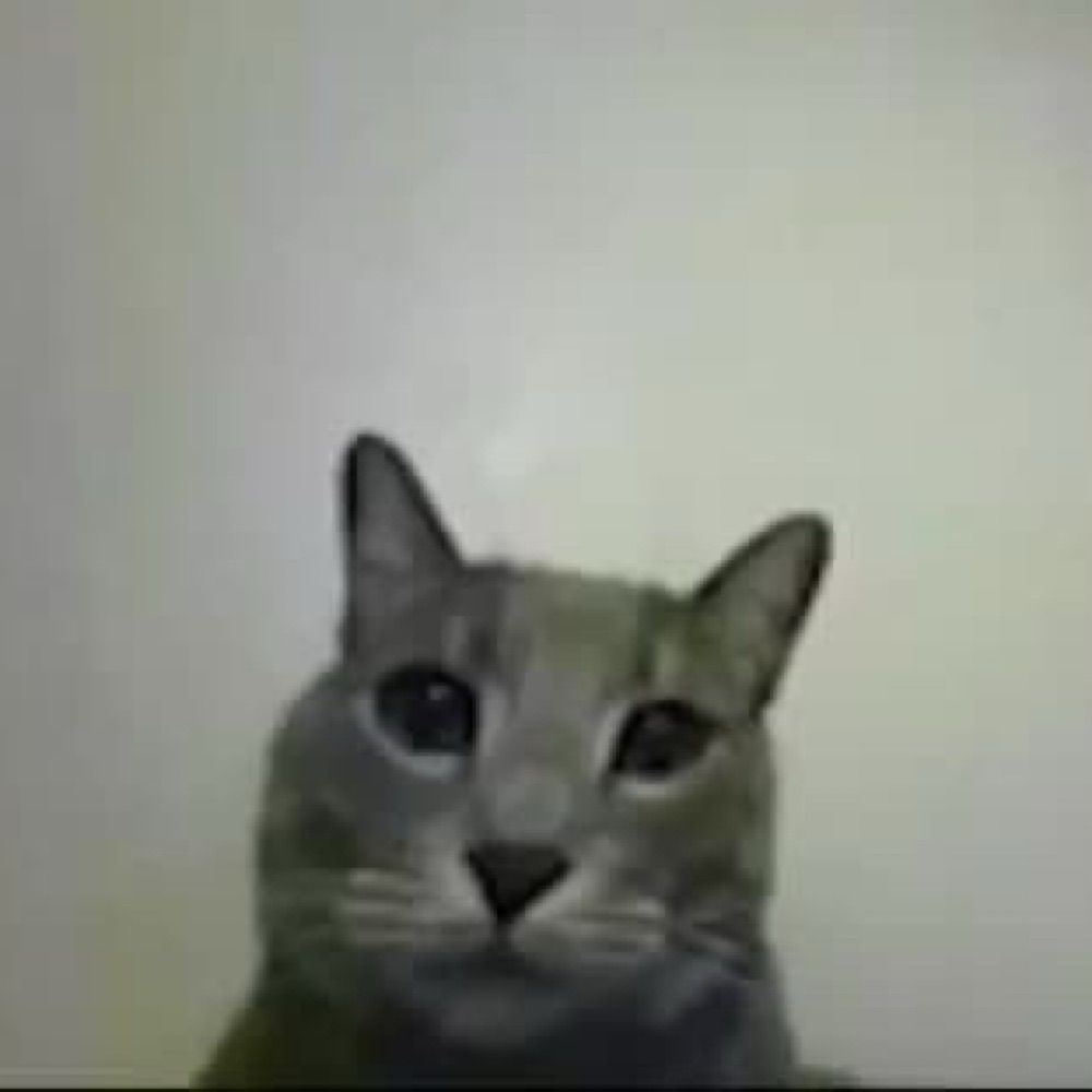 เซย