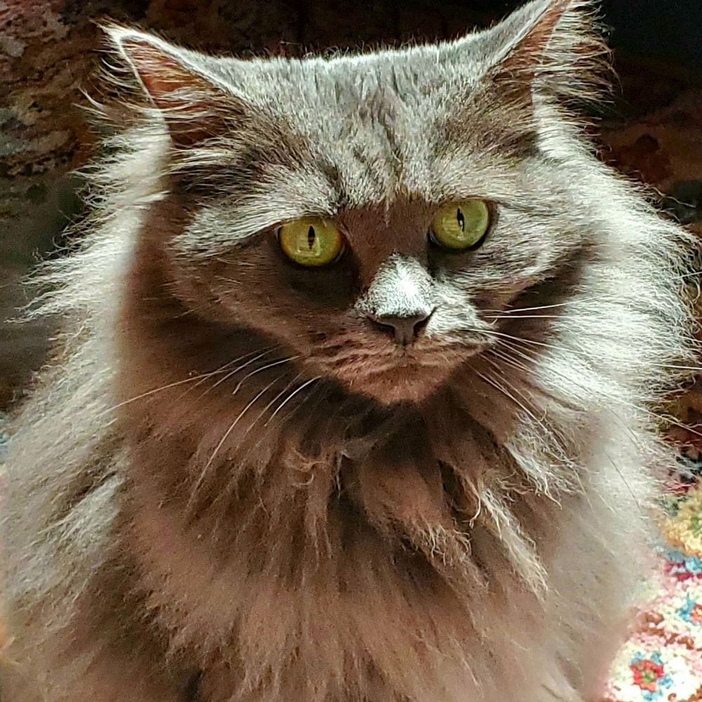 Grey Lady