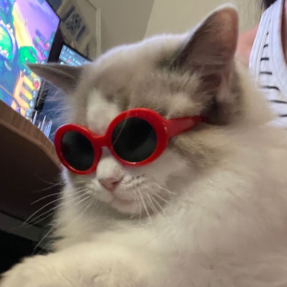 Dekkster