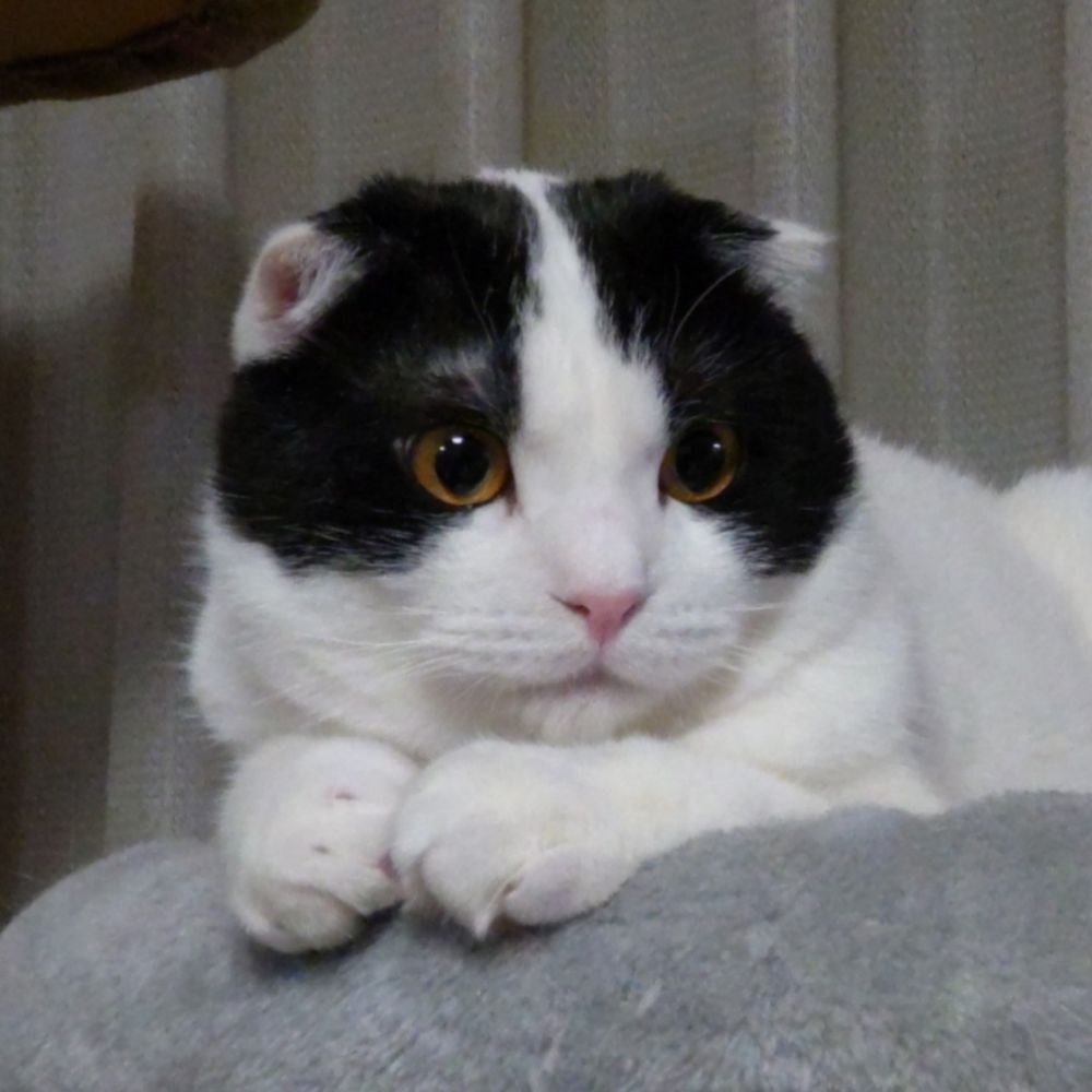 みっちゃん