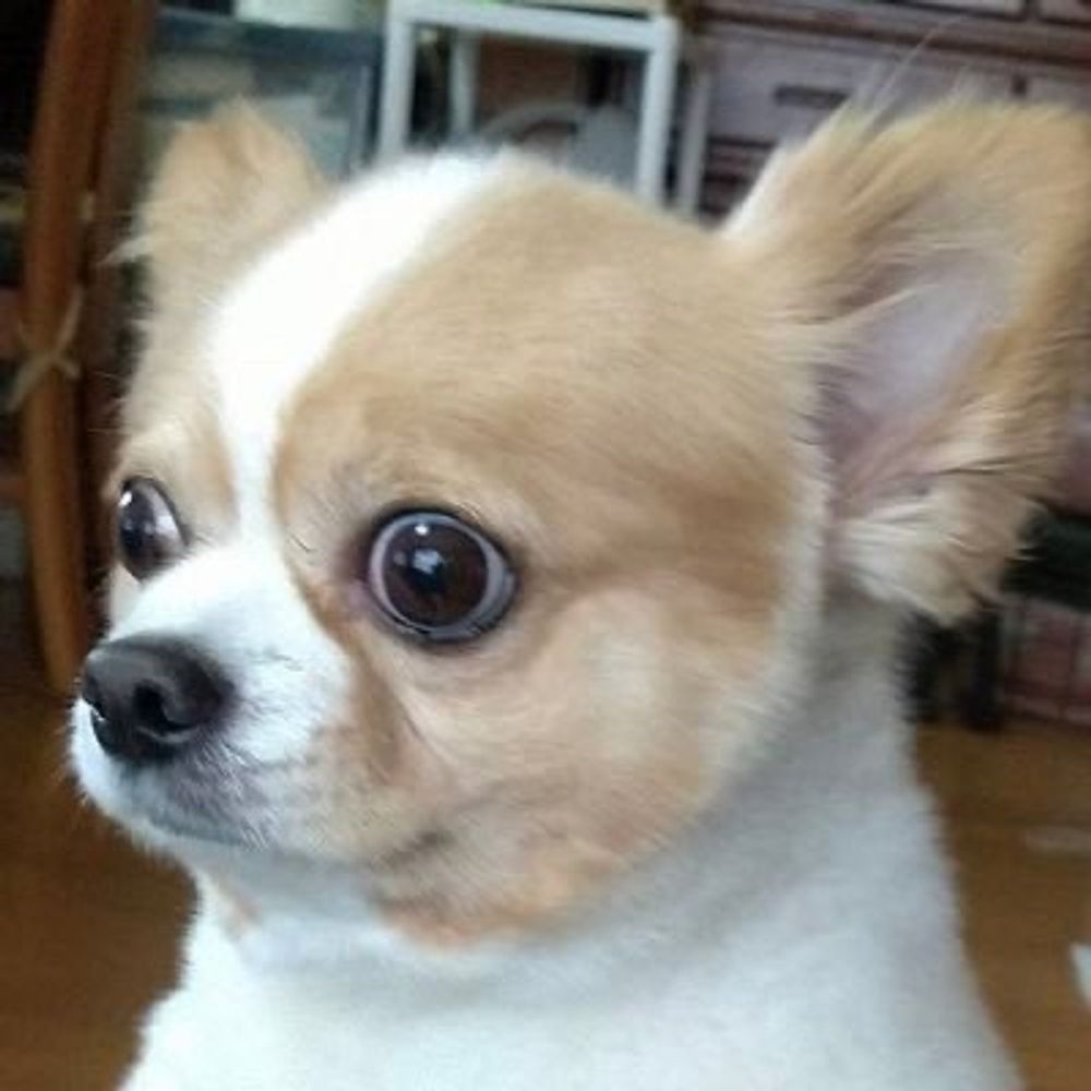 夏のおわり