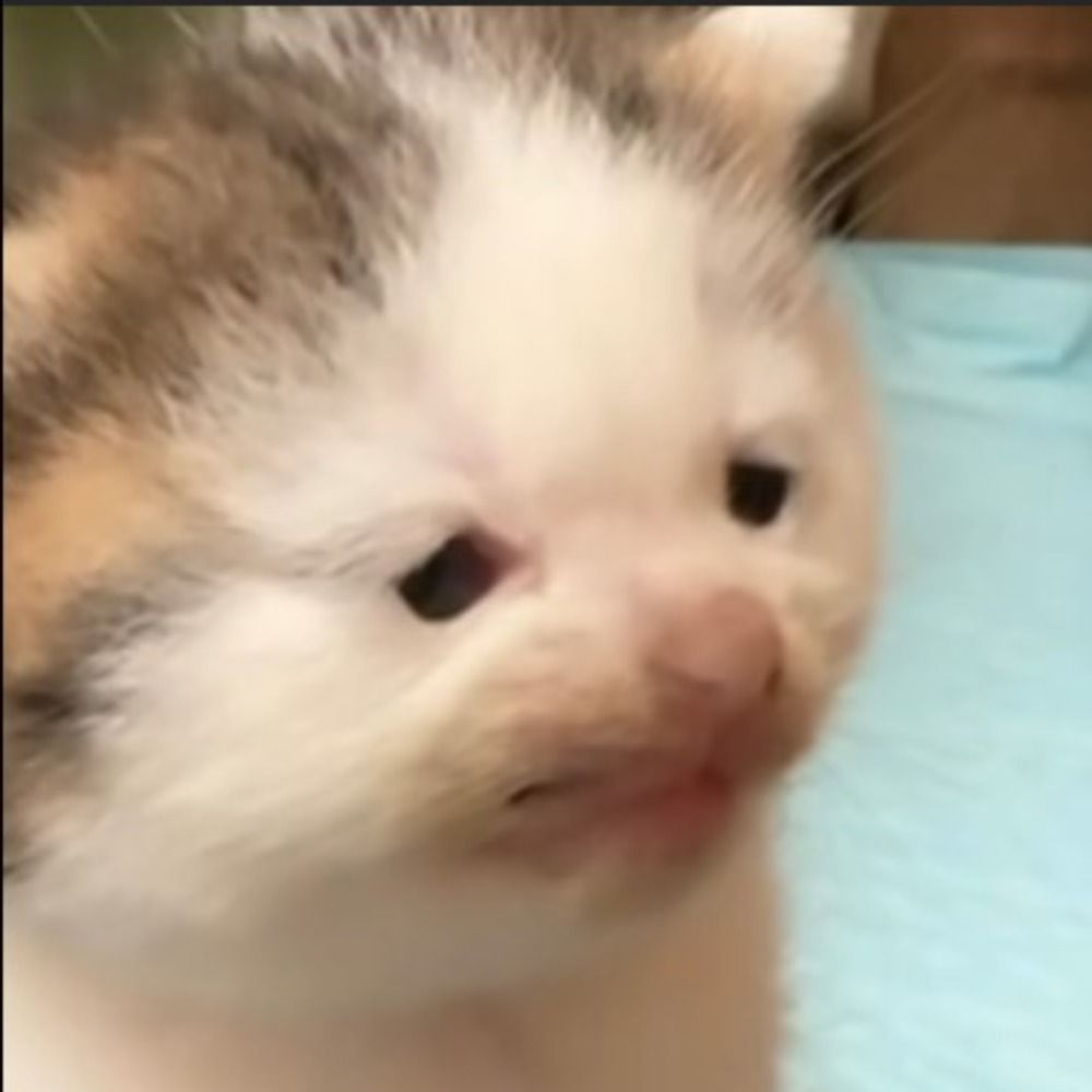 gui
