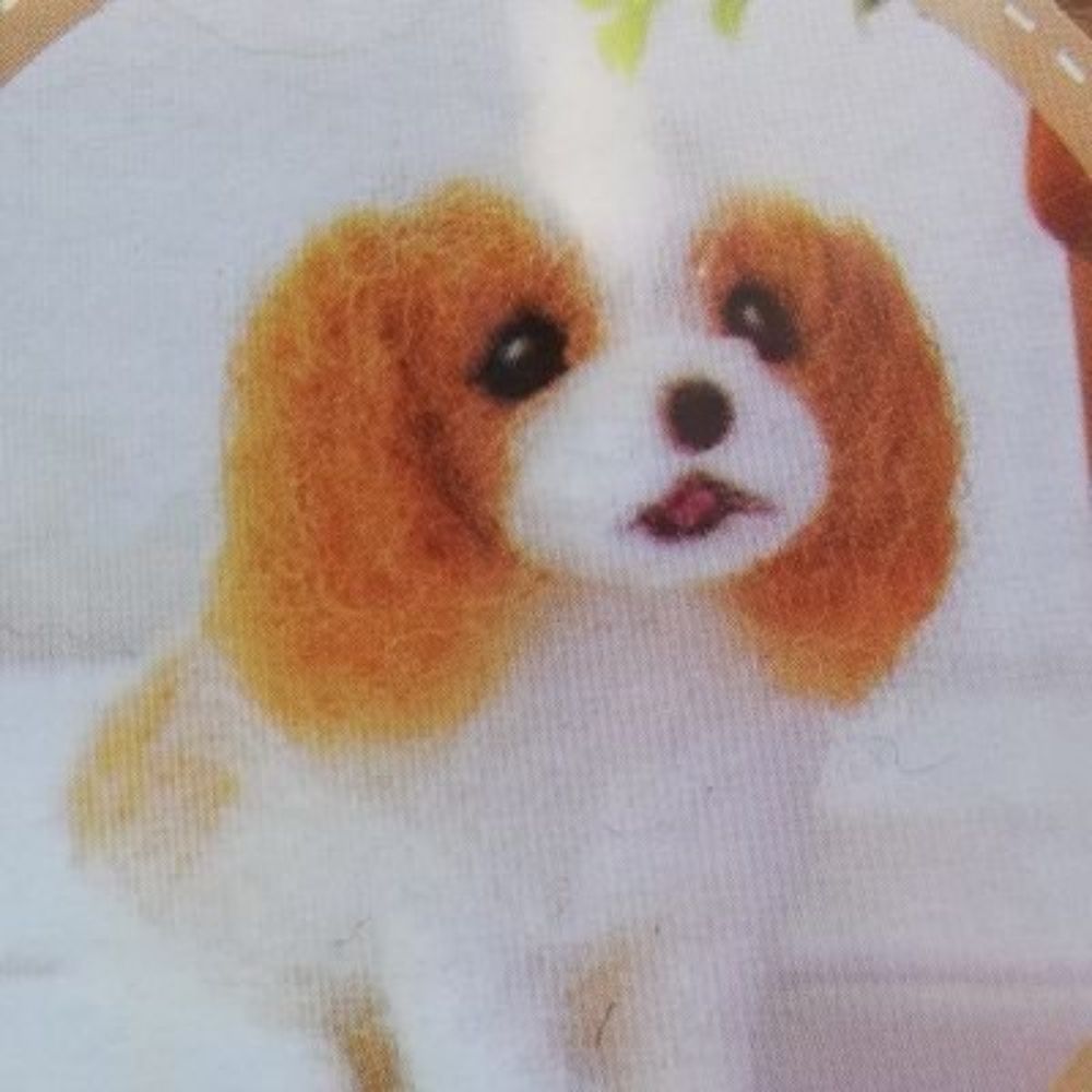 ヨアケノ