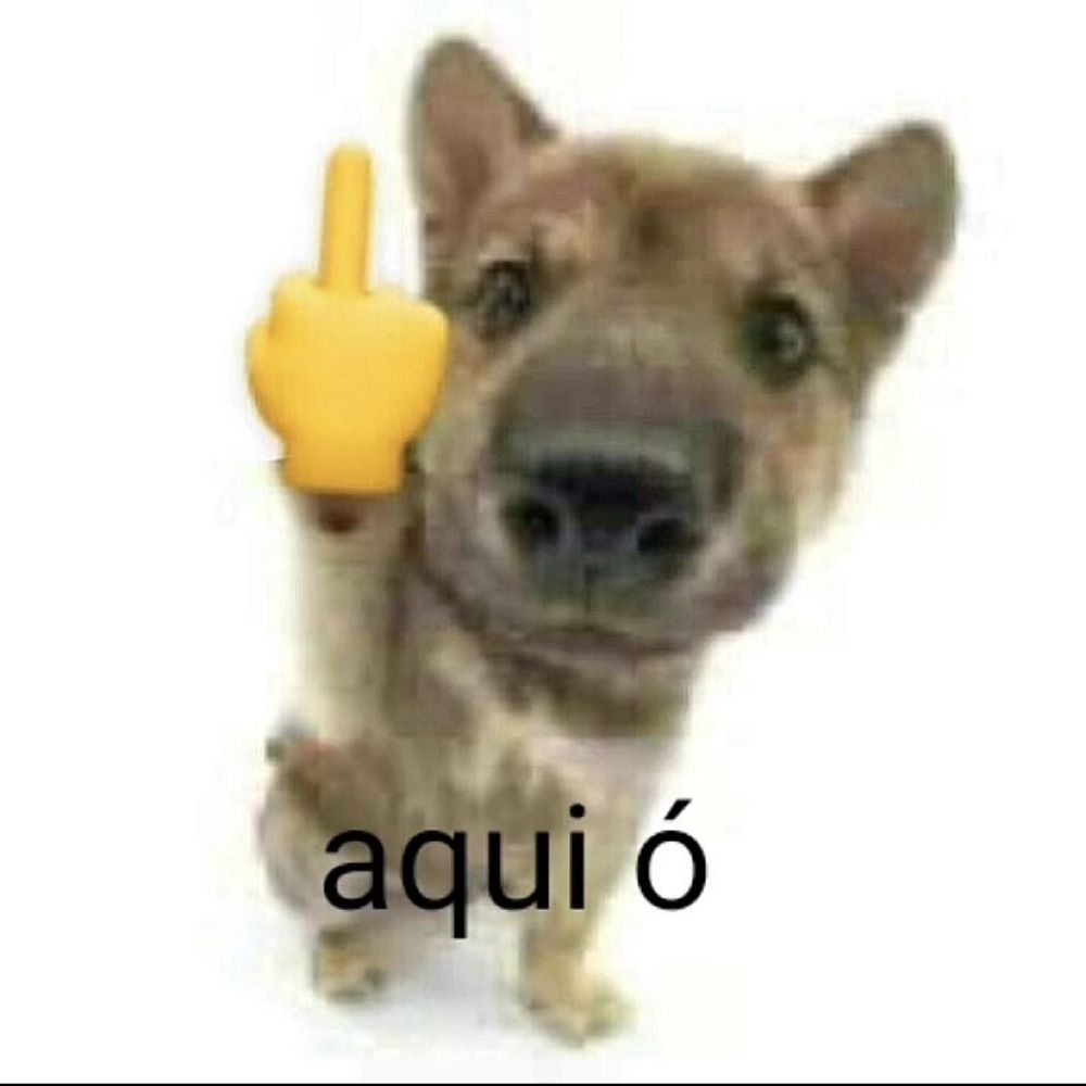 p🌻