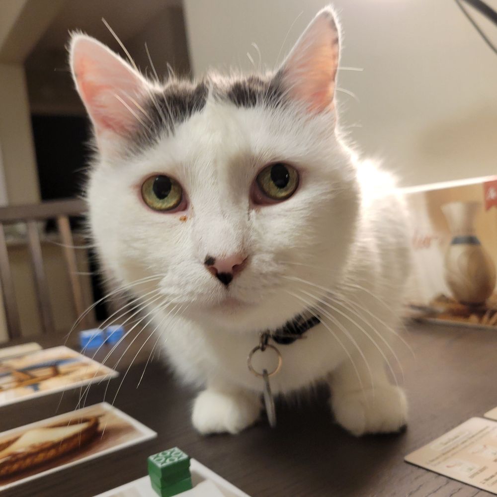 Boardgames With Floofs