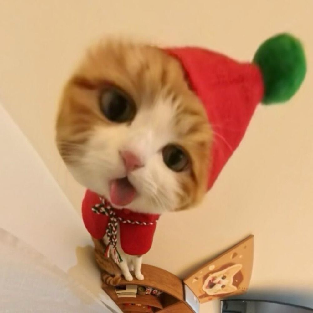 张