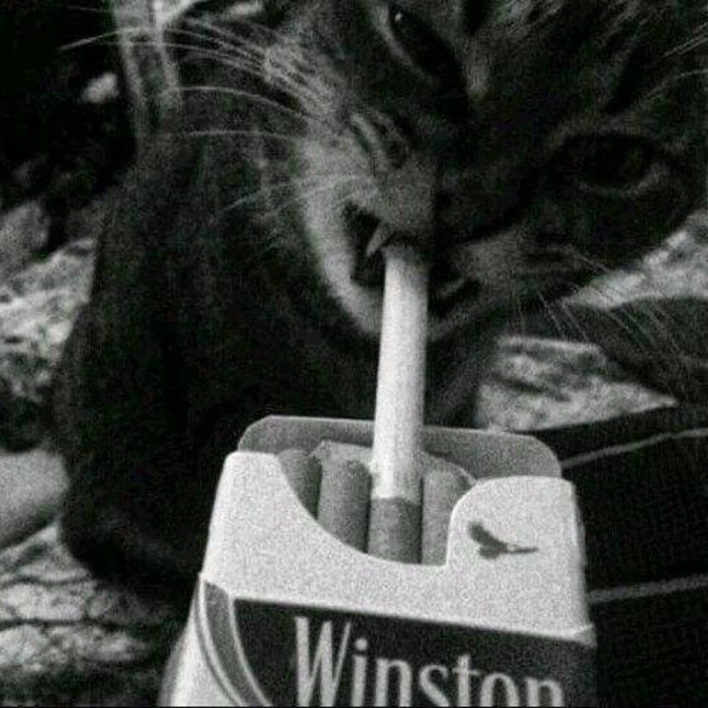 🥱