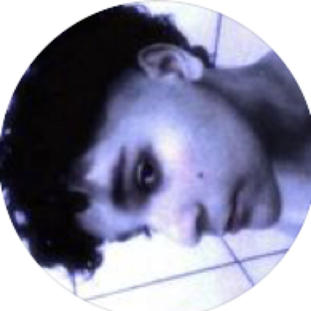 pedro 
