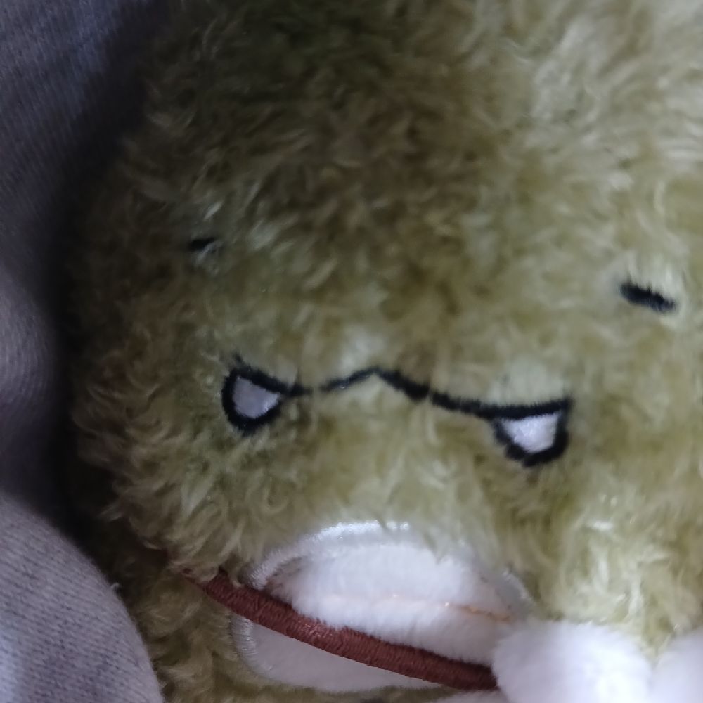 룡카