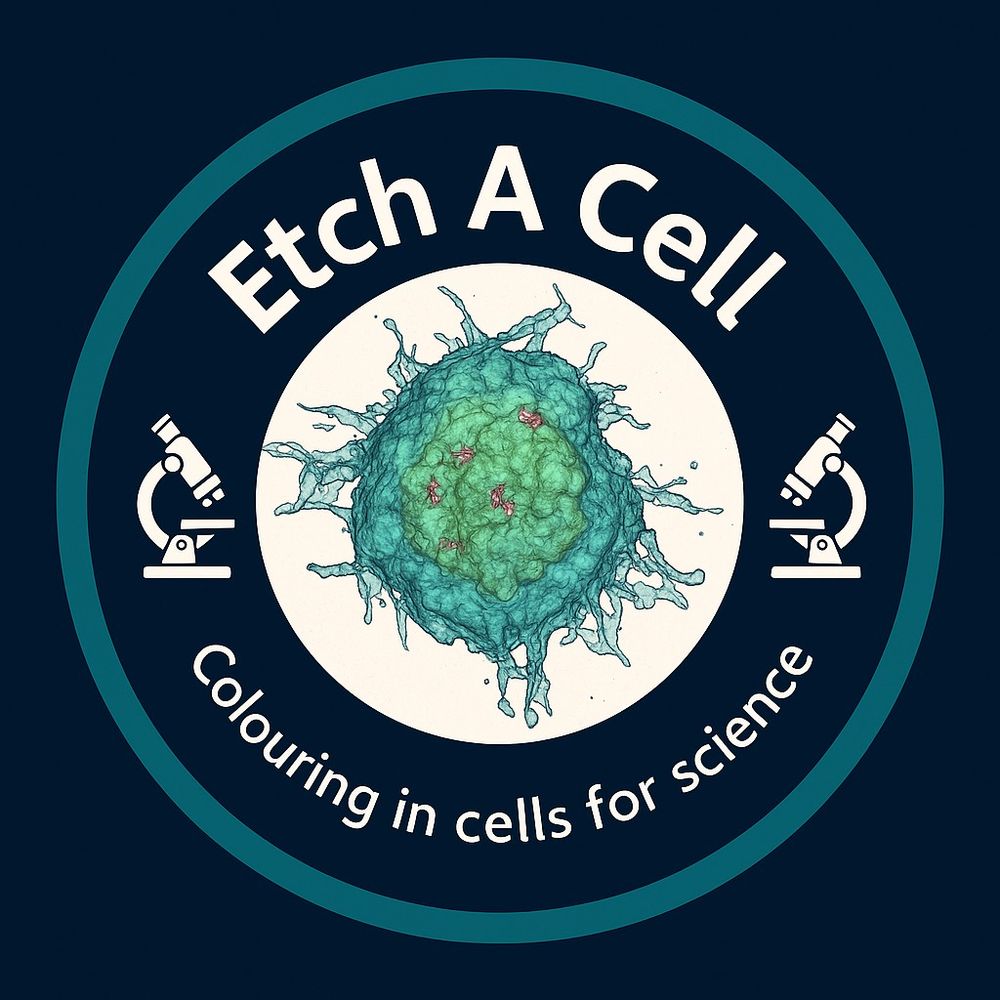 Etch a Cell