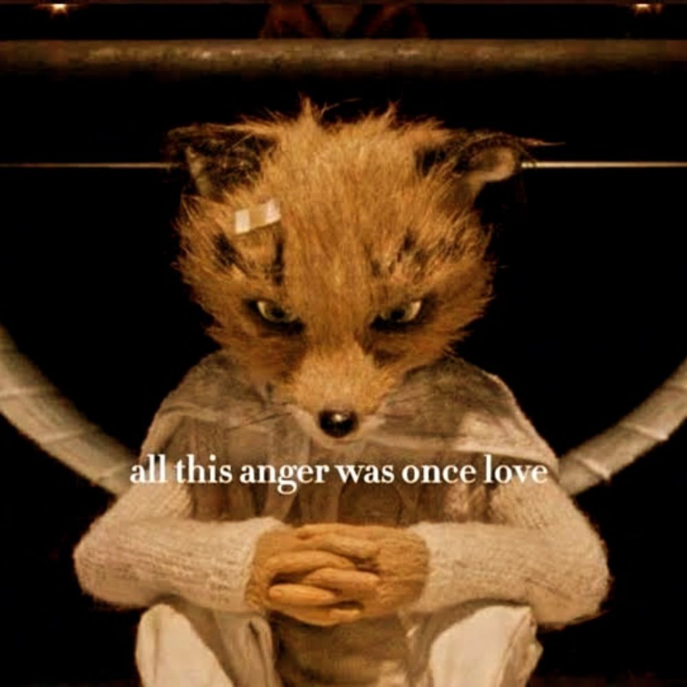 ☾☾☾