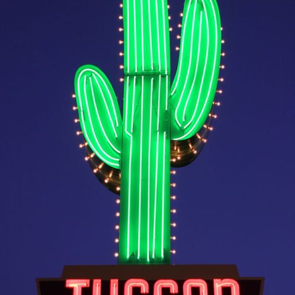 TucsonTempigami