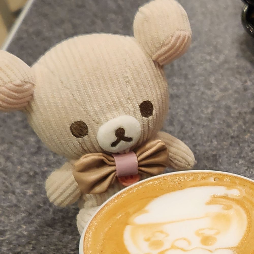 ｸﾛﾈﾁｺﾔﾝ