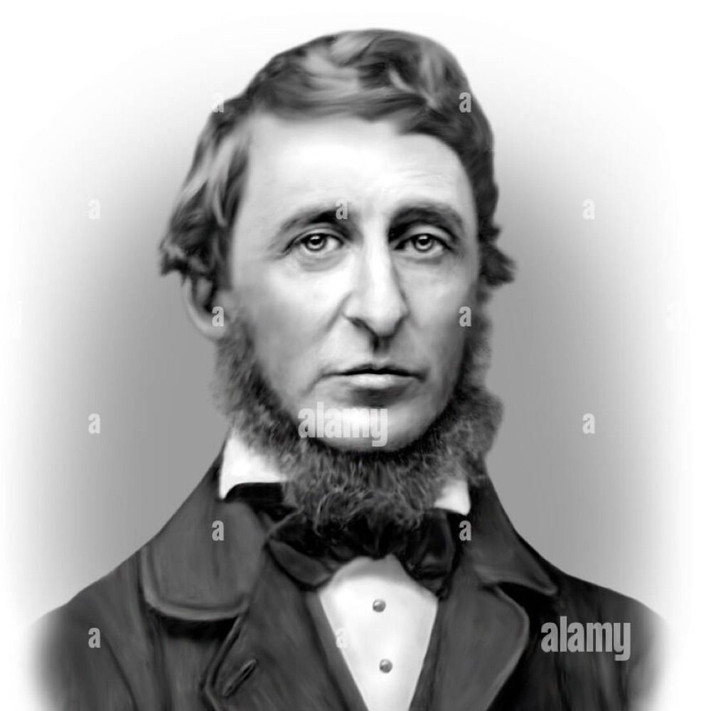 Ennui D. Thoreau