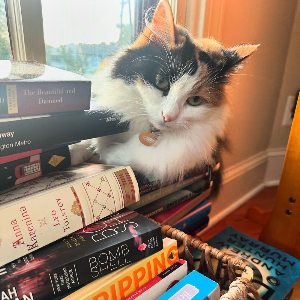 Meg