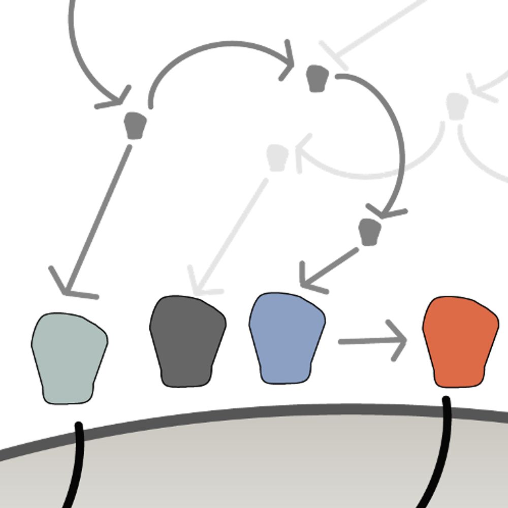 Bas van Steensel lab (NKI)