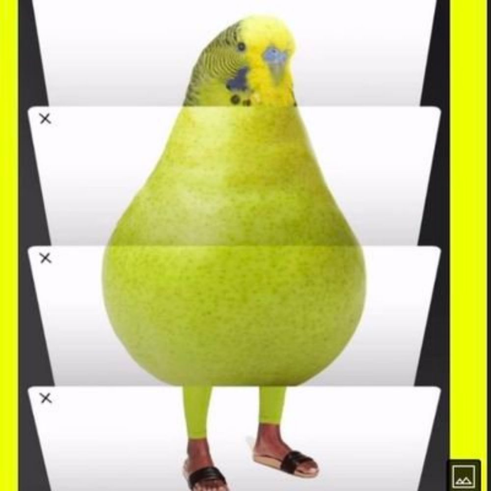 lorde piu piu 