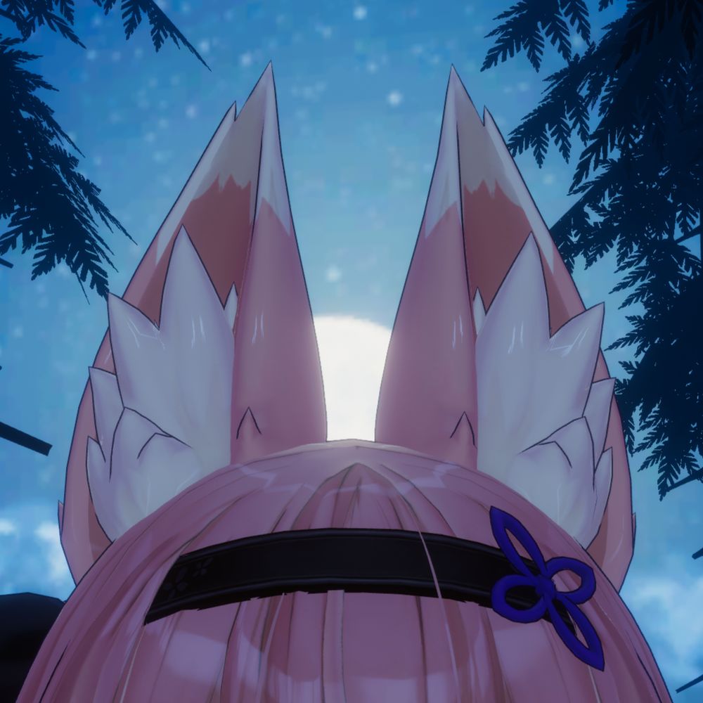 とらこの