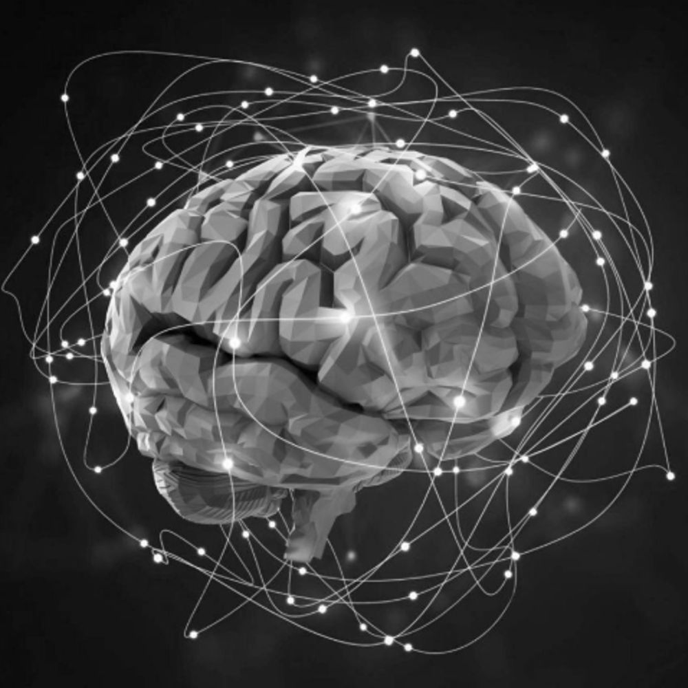 the computational brain lab