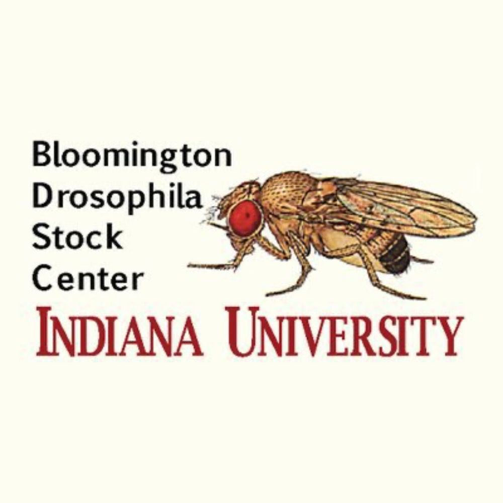 Bloomington Drosophila Stock Center