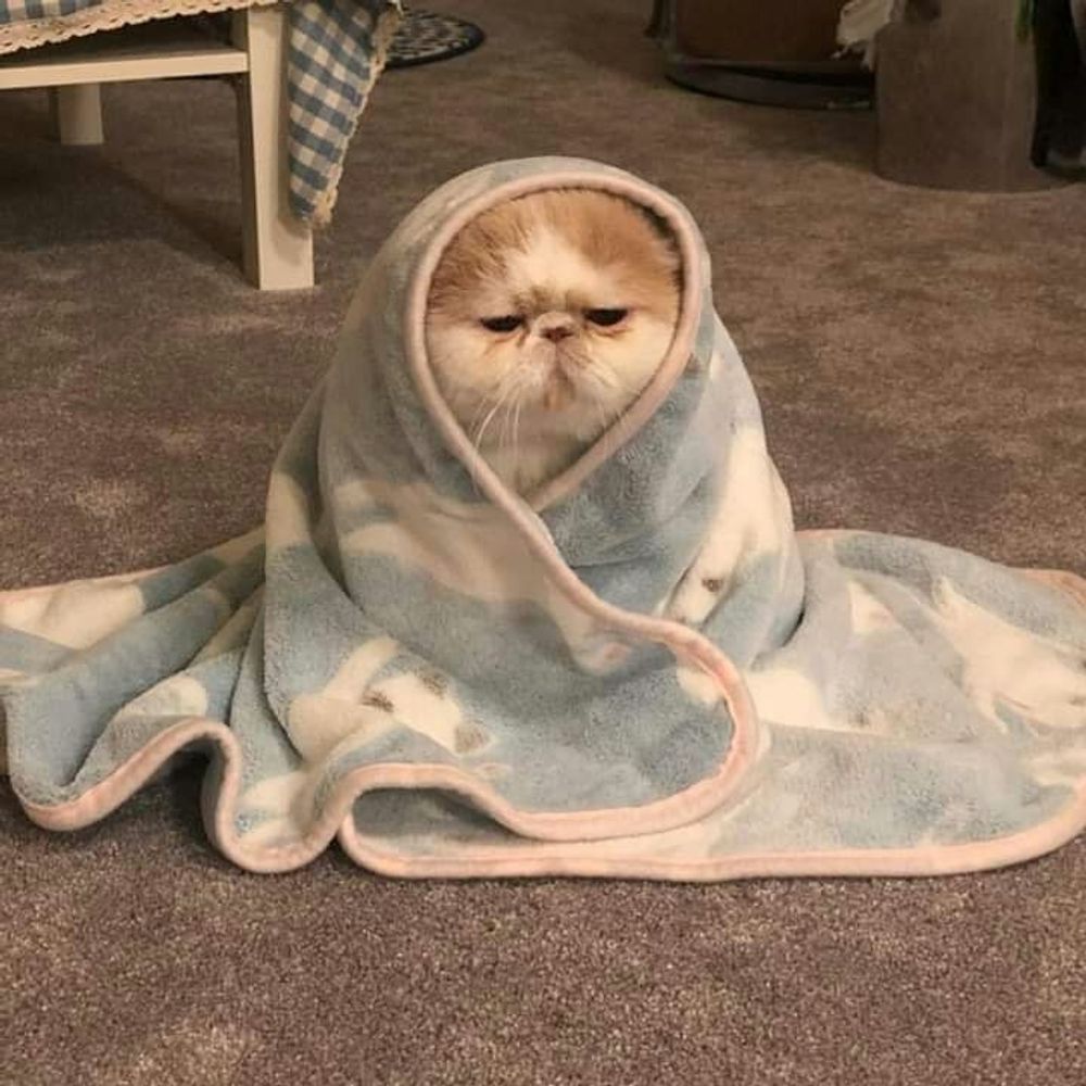 pacarnyamingyu