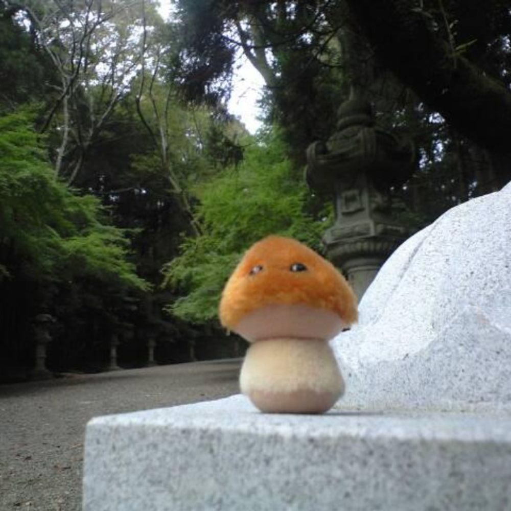 はらたけ