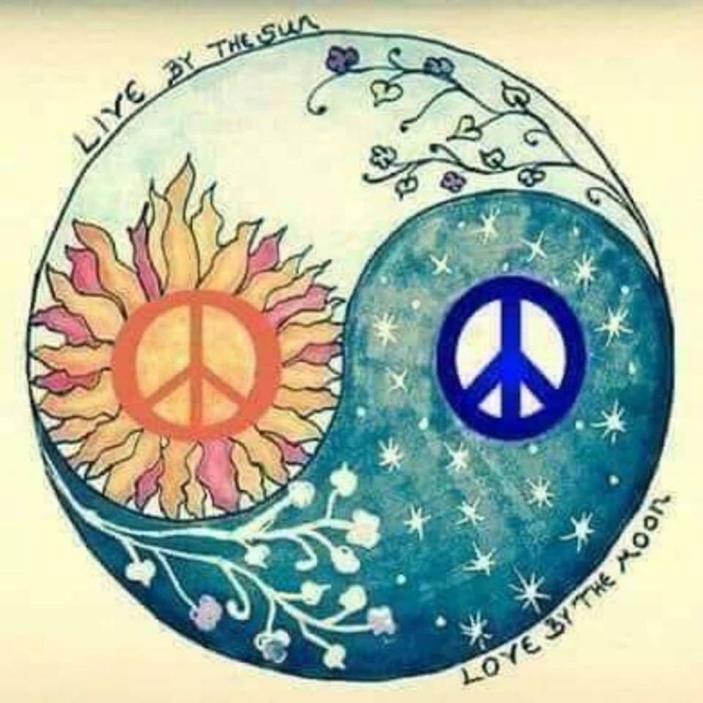 Eco Groovy