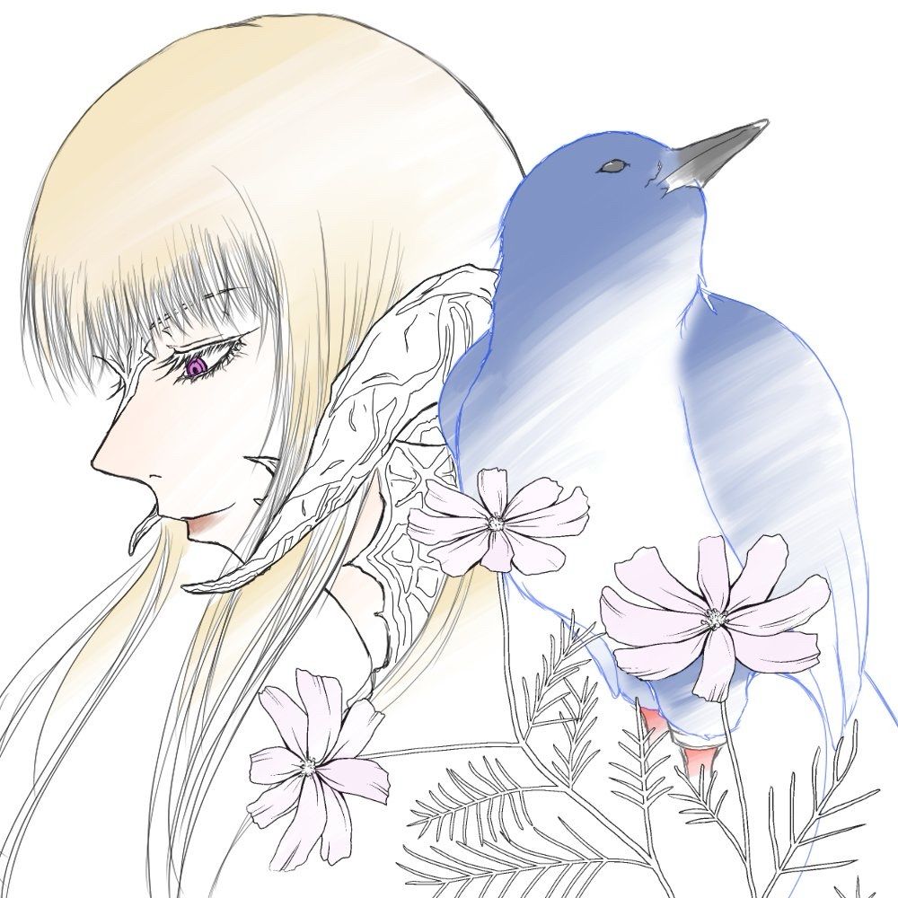 のらこ
