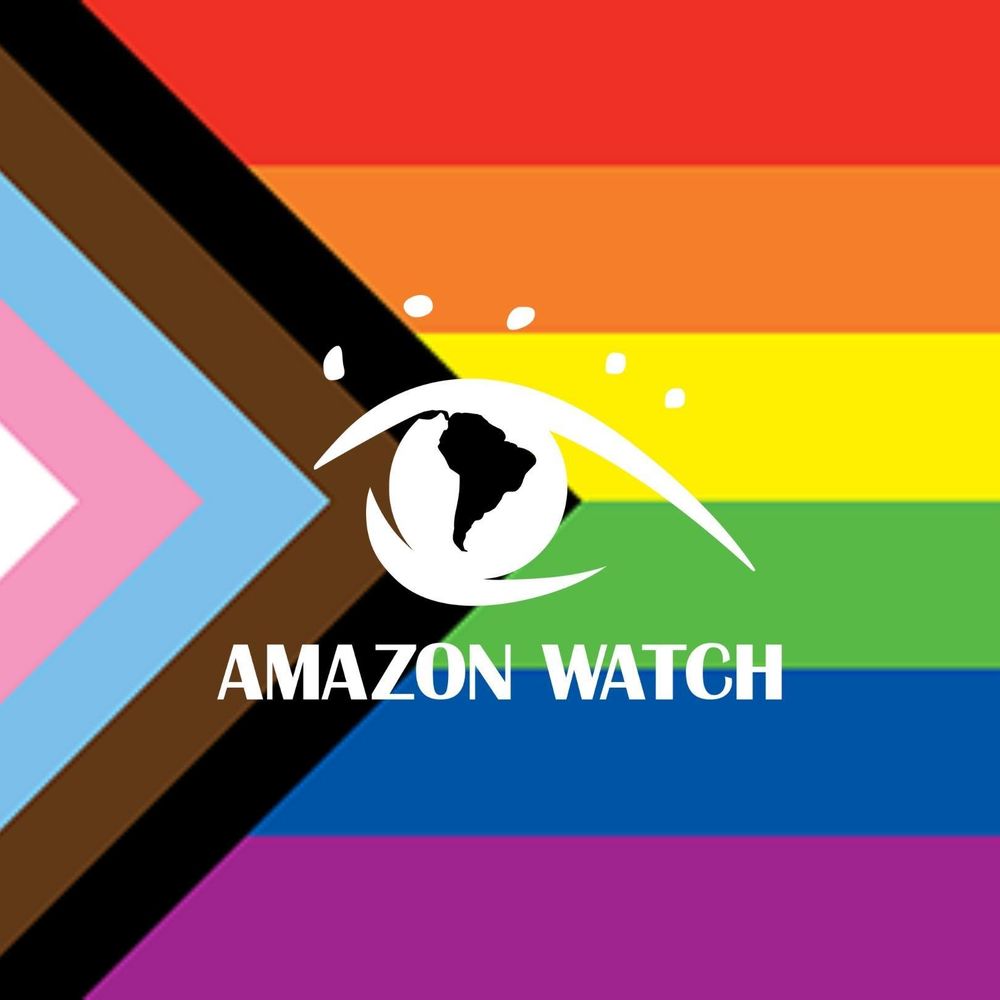 Amazon Watch