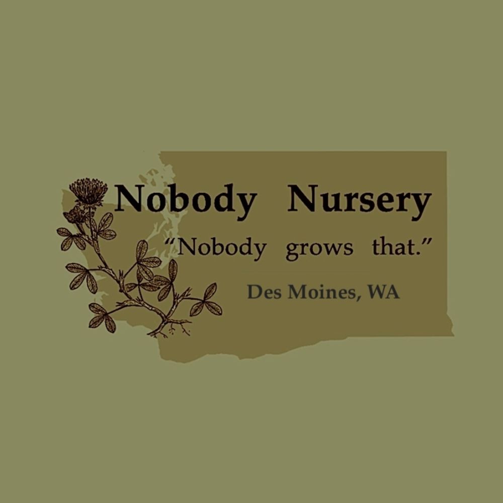 Nobody Nursery