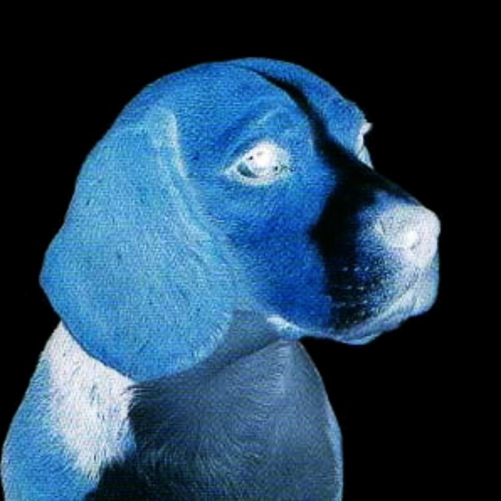 BaddieBeagle