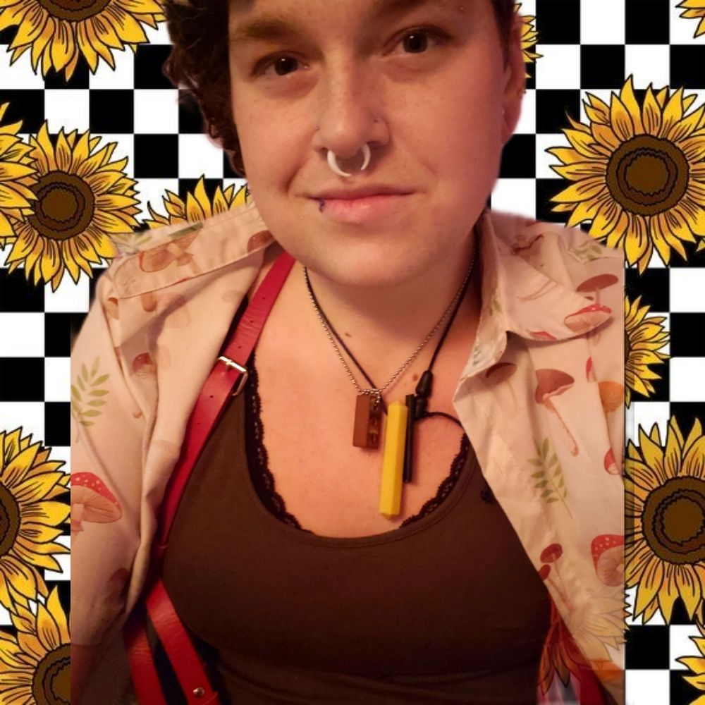 Sunflower Fields