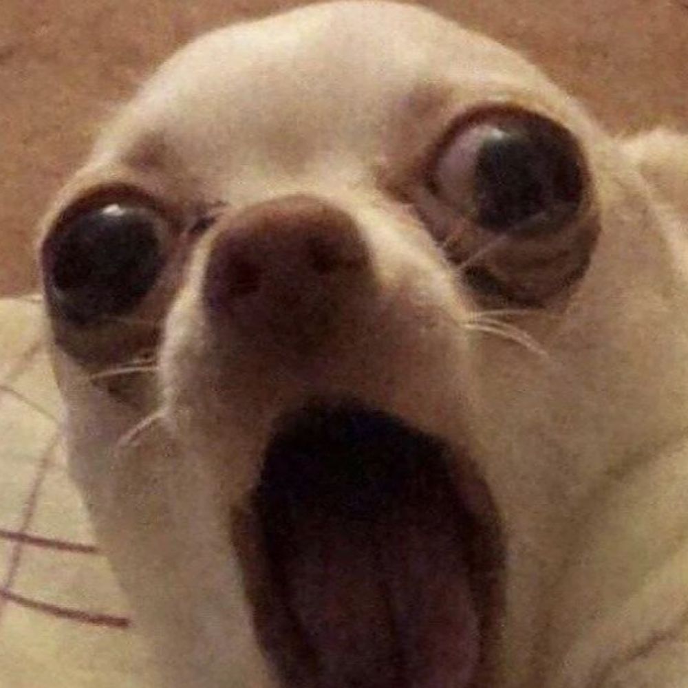 Raye