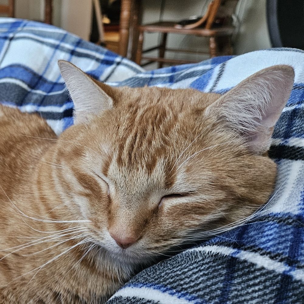 Jack