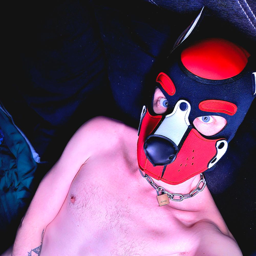 xPup_SparkyxX