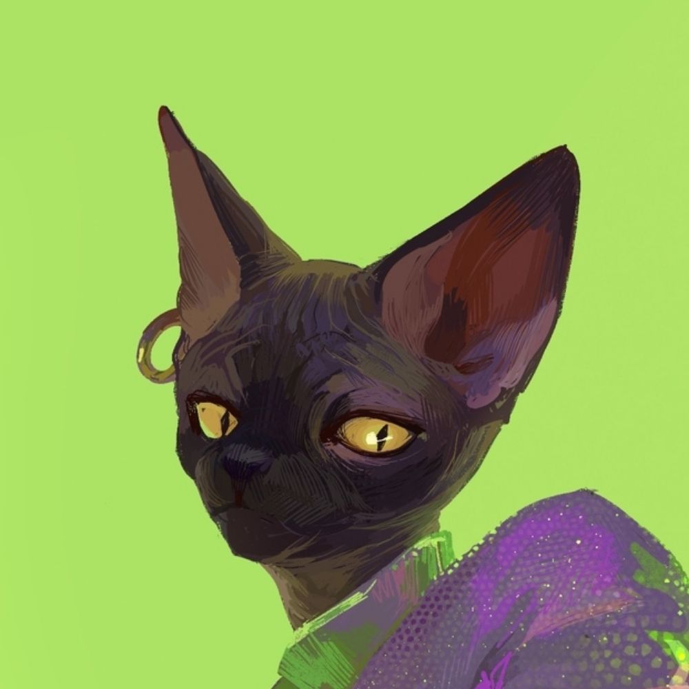 Taro!