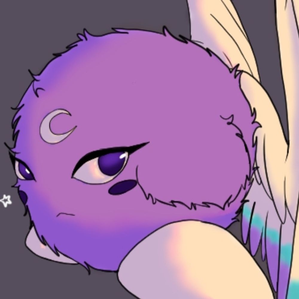 Tsuki🌙
