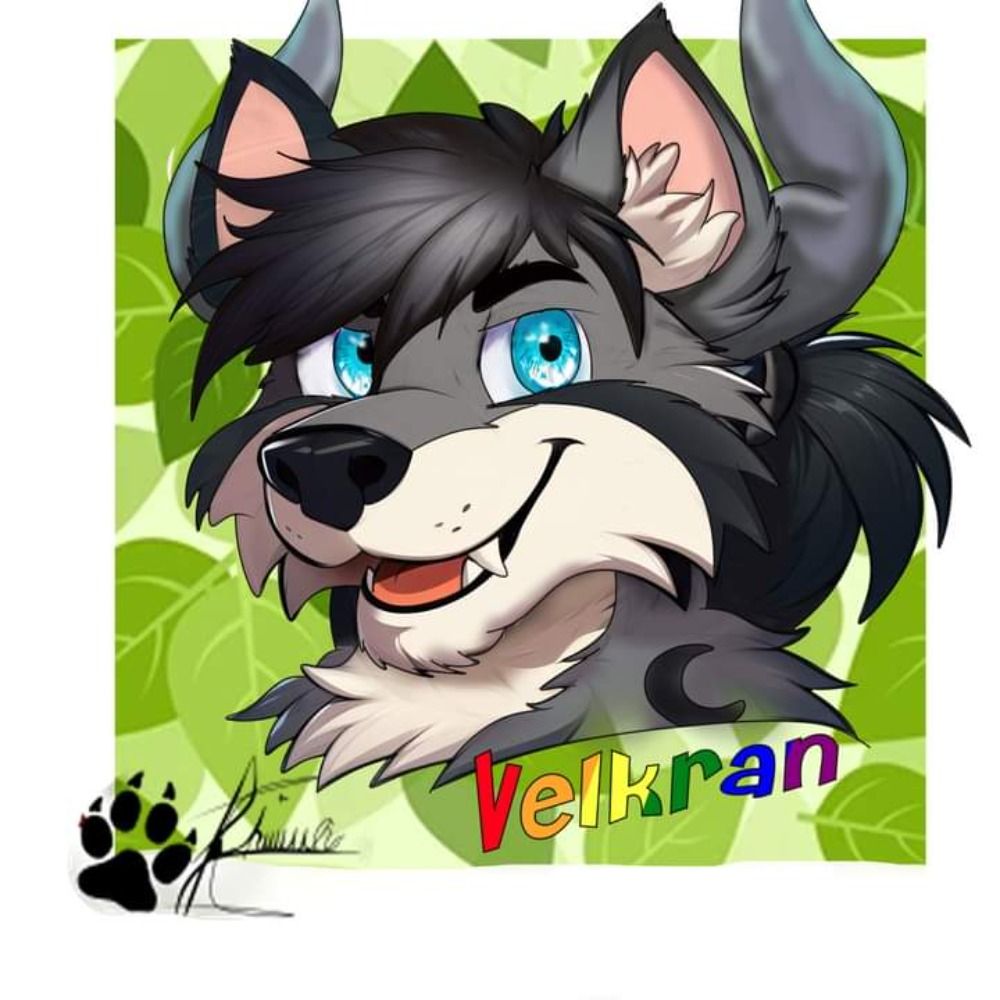 Velkran Lobo-Toro