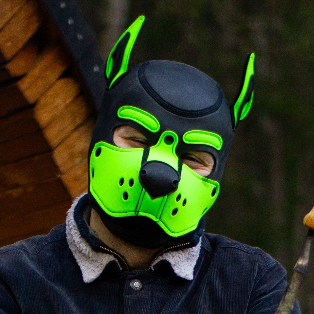 Pup Auros