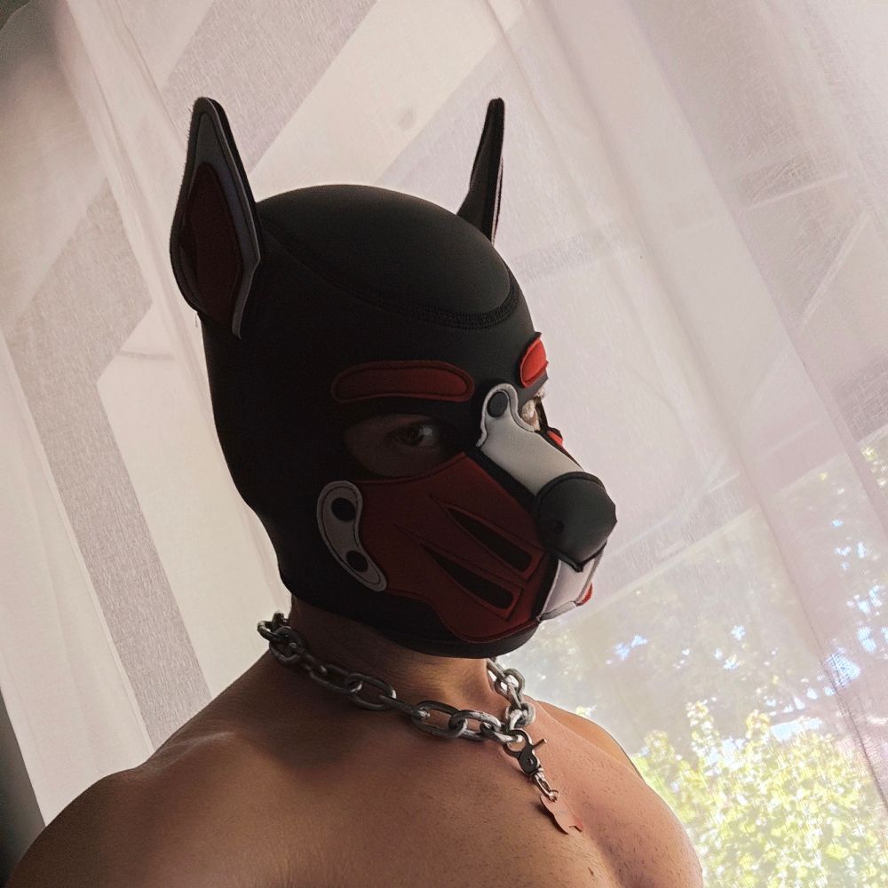 RedWolf