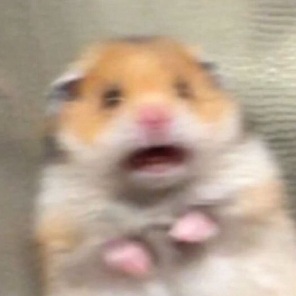 또금빵