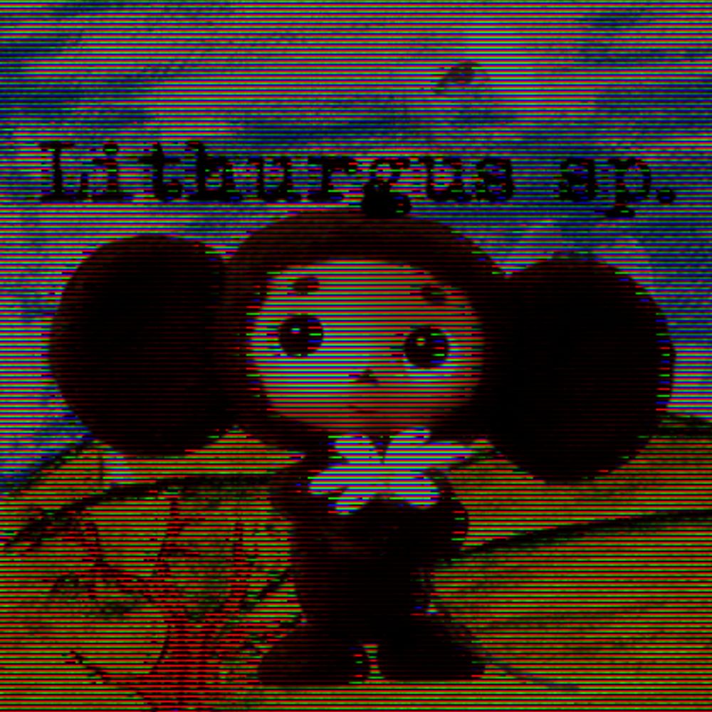 Lithurgus sp. (aka TacoterrorTV)